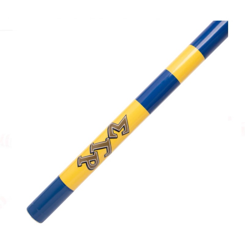 Sigma Gamma Rho Cane - Wide Block Small SGRho