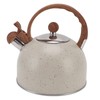 Whistling Kettle 2.5L Capacity Stainless Steel Stovetop Teapot for Water