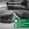 Advantage Carpet & Upholstery Spot Spray | Kills Fleas &