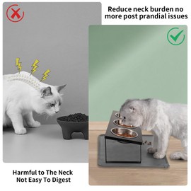 Upgraded Elevated Cat Bowls with Food Mat,15°Tilted Stand Anti Vomiting Raised Cat Dishes for Food and Water,3 Stainless Steel Bowls for Cats and Puppy（Black）