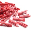 Jdesun 50 Pieces Photo Clips,Mini Plastic Picture Paper Clip Clothespins