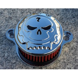 CHROME SKULL AIR INTAKE & AIR FILTER for Harley Davidson Sportster XL 883 1200