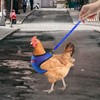 Chicken Harness with Rope - Adjustable Chicken Harness Breathable Traction