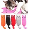 Legendog 5Pcs Bite Resistant Catnip Toy for Cats,Catnip Filled Cartoon