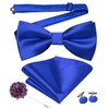 Hi-Tie Mens Royal Blue Pre-Tied Pocket Square and Lapel Pin
