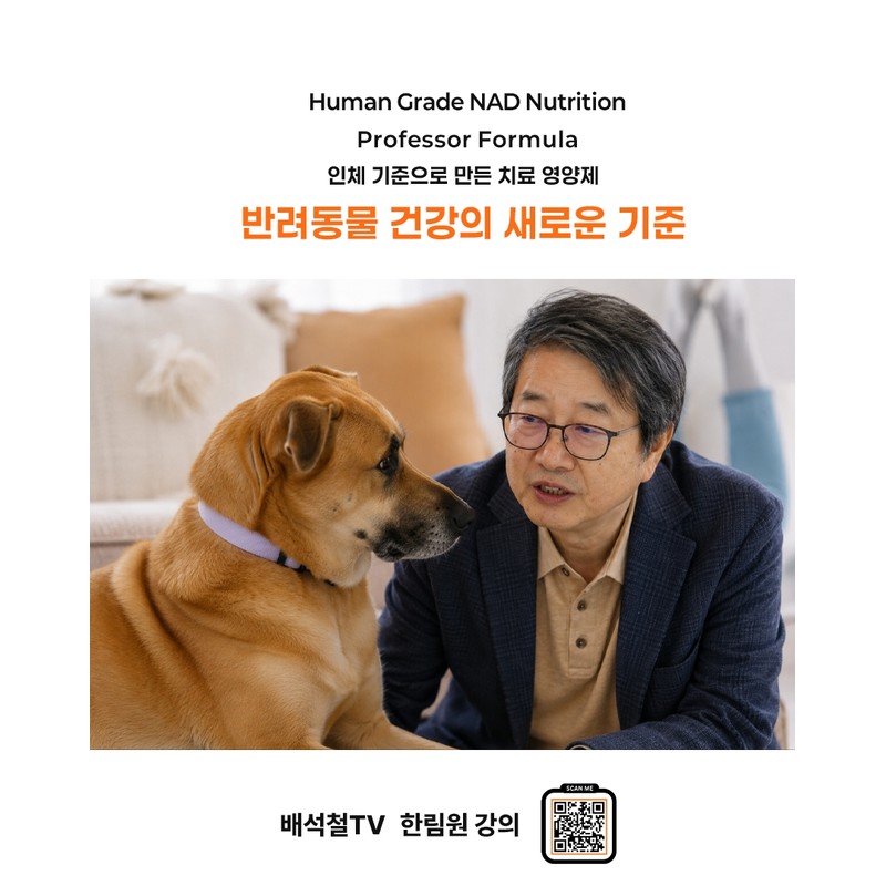 Bae Seok-cheol's Amina Pet High-content Vitamin B3 Niacinamide Dog Cat