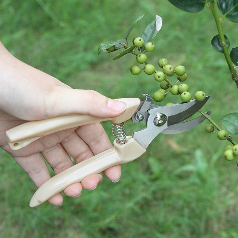 2PC Stainless Steel Pruning and Cutting Multifunctional Horticultural Scissors Orchard