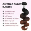 ANMETAN 10A Chestnut Brown Ombre Body Wave Bundle Human Hair