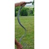 5' Realistic Chain King Snake Replica - Rubber