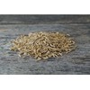 Hale Habitat & Seed Forage Oat Food Plot Seed (50