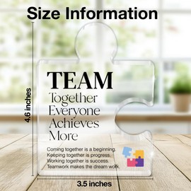 Inspirational Team Gift for Coworkers Colleagues Employees, Teamwork Gifts Team Together Everyone Achieves More Acrylic Puzzle Piece Plaque Office Decor