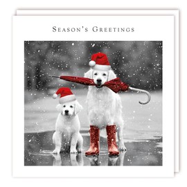 Tracks Publishing Charity Christmas Cards - Festive Labrador Dogs in Puddle - Eco-Friendly - Pack of 5 Cards