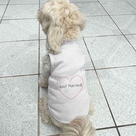 'Just Married ' Pet Dog/Cat T-Shirt (PT00108611)