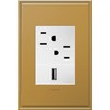 Adorne AWP1G3BR4 1-Gang + Wall Plate in Bronze