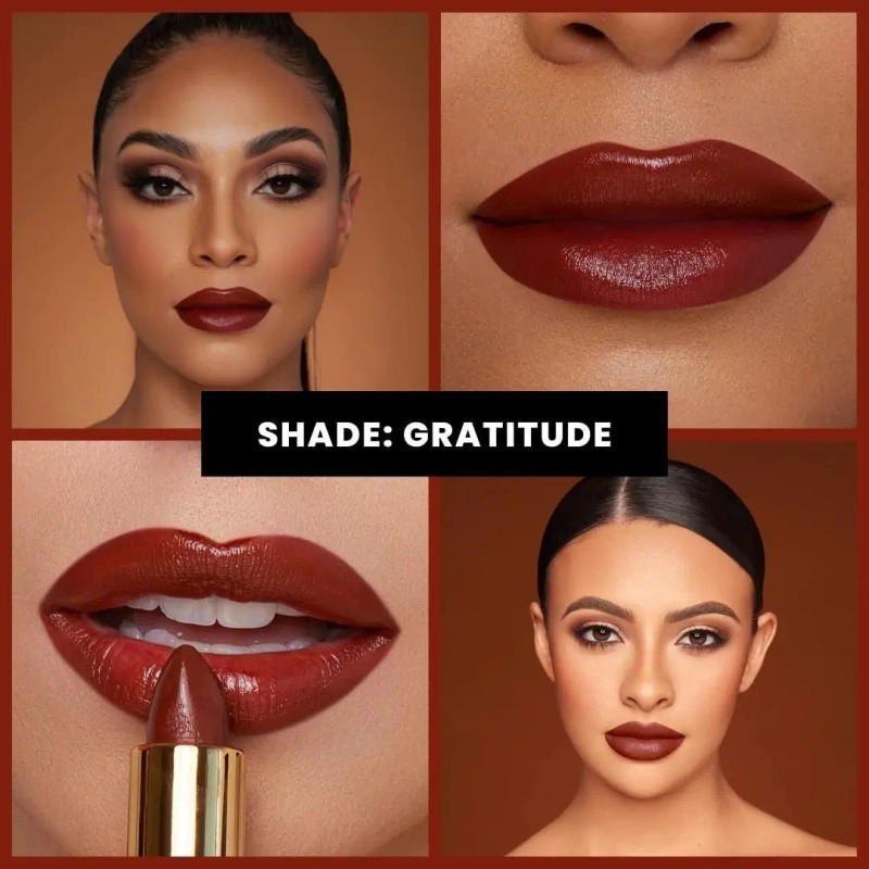 Labiales En Barra Pout Perfect Ace Beaute