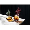 YAOYUAN Hand Blown Glass vase - Elegant mini Bud vases