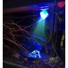 Aquarium LED Spotlight, Colour Changing, Submersible Waterproof USB Light with
