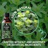 ORIENTLEAF Peppermint Essential Oil, 4.0 fl oz