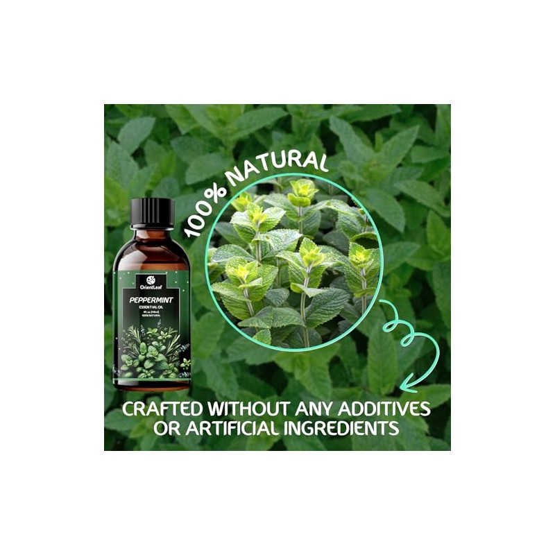 ORIENTLEAF Peppermint Essential Oil, 4.0 fl oz
