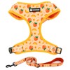 Dog Harness and Leash Set, Adjustable Dog Harness, Dog Leash,