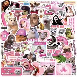 50 PCS Pink Meme Stickers for Adults & Women, Pink Funny Waterproof Stickers for Water Bottles Laptop Scrapbooking Computer Cars Hard Hat, DIY Décor for Bumper Accesory