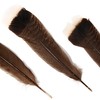 iHUFeather 20pcs Natural Wild Turkey Tails Feathers Quill Bulk 8-10inch