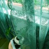 Deeprove - Cortinas transparentes de encaje verde oscuro de 45