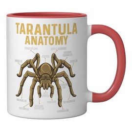 Tarantula Anatomy - Spider Arthropod Arachnid Arachnophile Ceramic Mug, Red/White