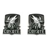 2Pcs New Custom Dark Horse Style Emblems Door Left Right