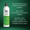 Shampoo Hidratante Para Cabello Rizado The Twister Pro You |