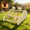 Chicken Perch with Swing & Mirror, Waterproof PVC Roosting Stand