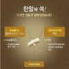 그린 프로폴리스 원액 액상 플라보노이드 고함량 항산화 영양제 효능 추천