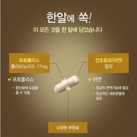 그린 프로폴리스 원액 액상 플라보노이드 고함량 항산화 영양제 효능 추천 그린 프로폴리스 가이오넷 애플 Green Propolis Extract Liquid Flavonoid High Content Antioxidant Nutritional Supplement Benefits Recommended Green Propolis Gaionet Apple