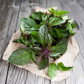 Thai Basil Seeds - USA Grown Thai Basil Seeds (Pack of 500 Seeds) Heirloom & Non-GMO