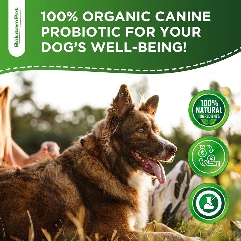 Probiotics for Dogs | Liquid Probiotics for Dogs and Puppies