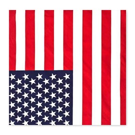 Trimming Shop Cotton Unisex Paisley Bandana Lightweight Breathable and Durable for Handkerchiefs Headband Riding Party US Flag 54 cm, US flag