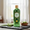 Shampoo Huichol Artesanal De Sabila Anticaida Original