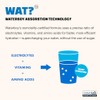 Waterboy Hidrataci Diaria Sobres Electrolitos Polvo 1570