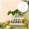 Outanaya 6pcs Clear Test Tube Vases for Hydroponic Plants Transparent