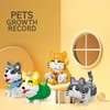NOOLY Animals Mini Building Blocks for Home and Office Decoration