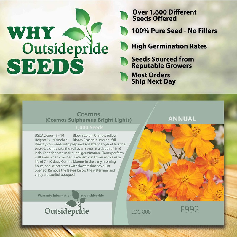 Outsidepride 1000 Seeds Annual Cosmos Sulphureus Bright Lights Yellow Cut