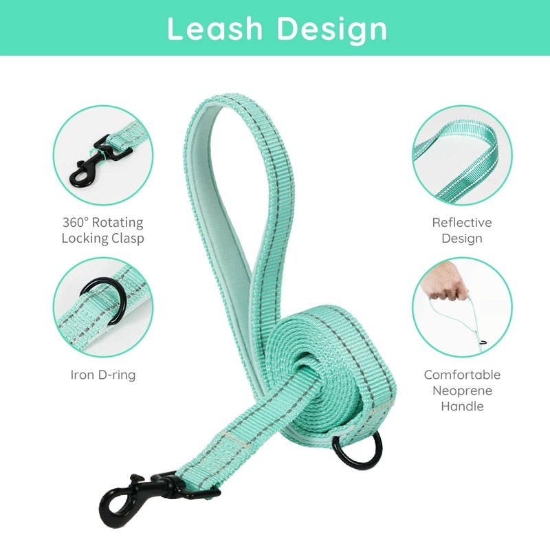 BELLA & PAL Dog Harness and Leash Set, Step-in Puppy