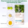 PlantFusion Vegan Collagen Powder - Plant Based Collagen Protein Powder