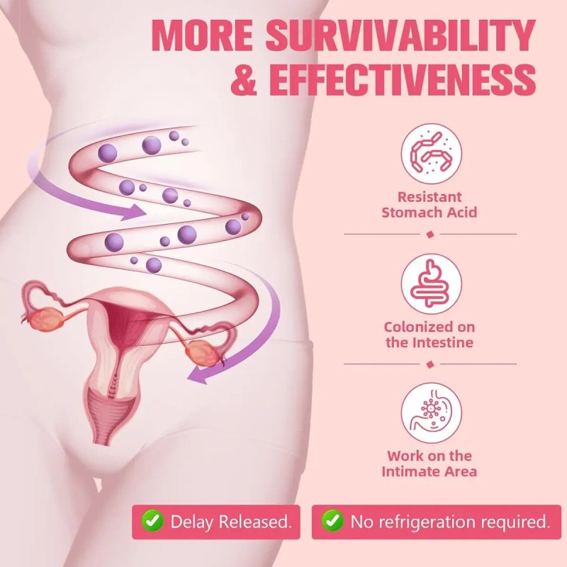 Totaria Suplemento Completo Menopausia Mujeres