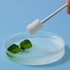 Mokoala Baby Tongue Cleaner Baby Toothbrush Disposable Infant Oral Cleaner