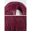 LAOBAO Cosplay Wig, Tendo Tenhiko, Burgundy Wig, Heat Resistant, For