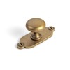 Goo-Ki Antique Brass Zinc Alloy Cabinet Knob with Backplate -