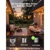Abeja 25 Pack ST38 LED Replacement Bulbs, E12 0.6W Shatterproof