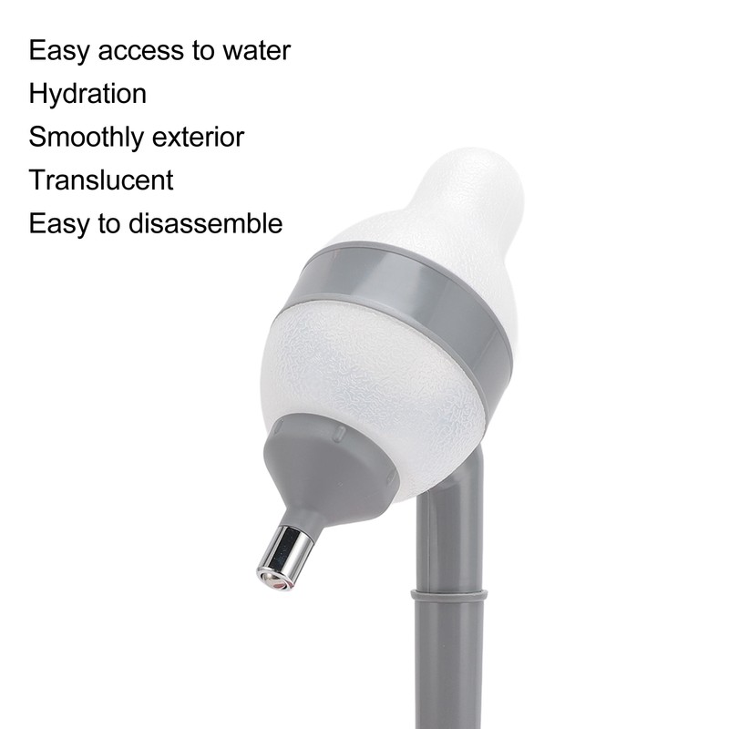 Pet Standing Water Dispenser 2 in 1 Cat Dog Standing