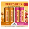 Burt's Bees Moisturizing Lip Balm Value Pack, Honey & Strawberry